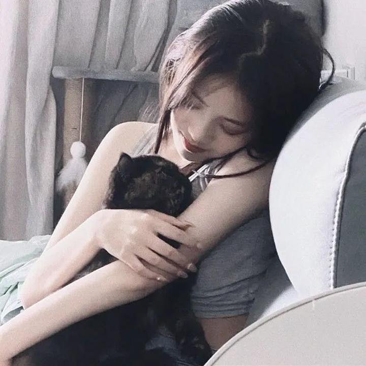内战圣伯纳犬 封面