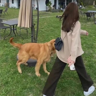囧爸 封面