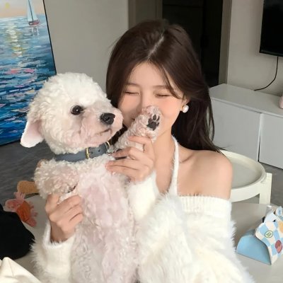 茅山打更人 封面